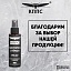 Очиститель стёкол КППС SPRAY (110 мл)